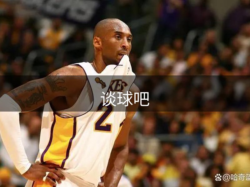 网站介绍